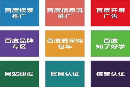 案例分享：专业SEM托管助力品牌崛起